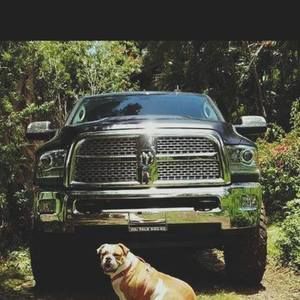 Meet your Posher, Chase